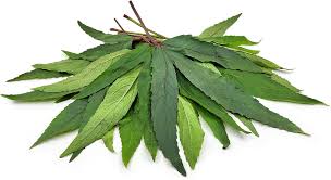 Mexim Rosella Leaves 300g (Frozen)