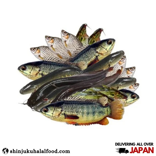 Mexim Mixed Fish (Frozen)