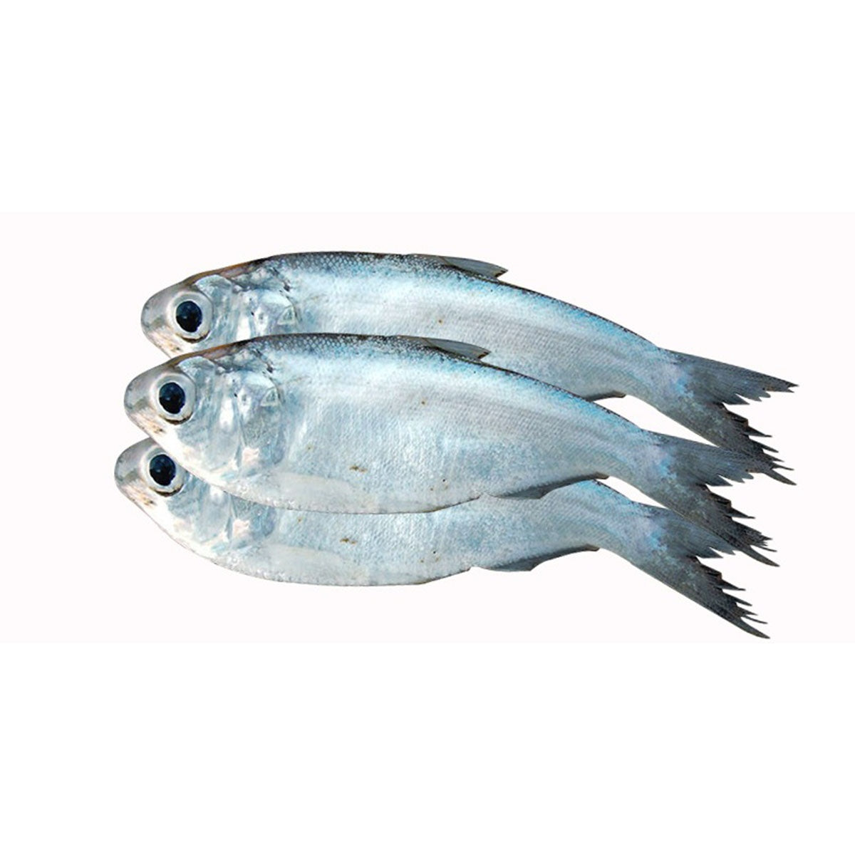 Mexim Chapila Fish (Frozen)