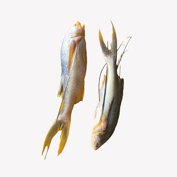 Mexim Taposi Fish (Frozen)