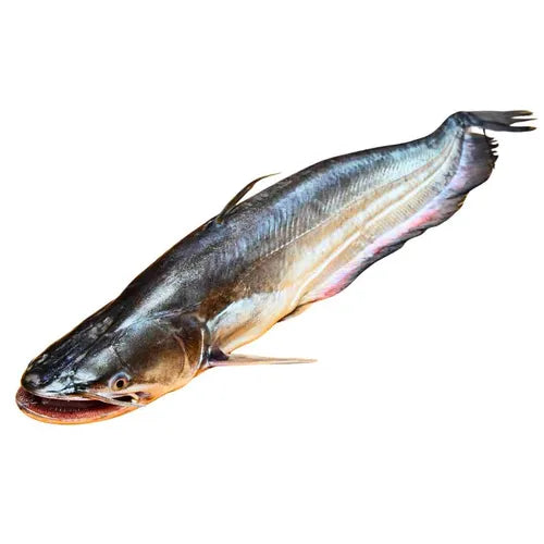 Mexim Boal Fish (2.0–2.9 kg each)* $19.25/kg (Frozen)