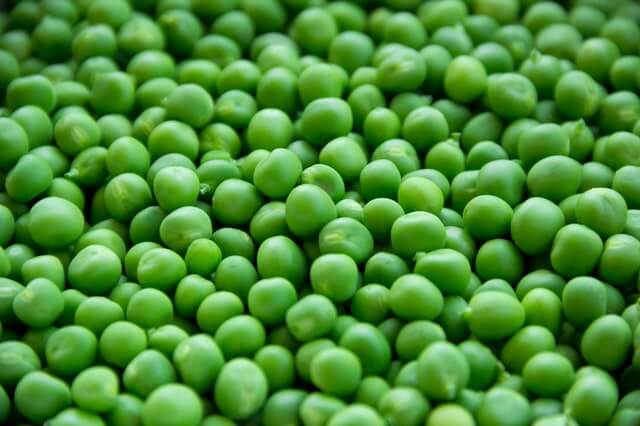 Bean Seeds Green 300 GM