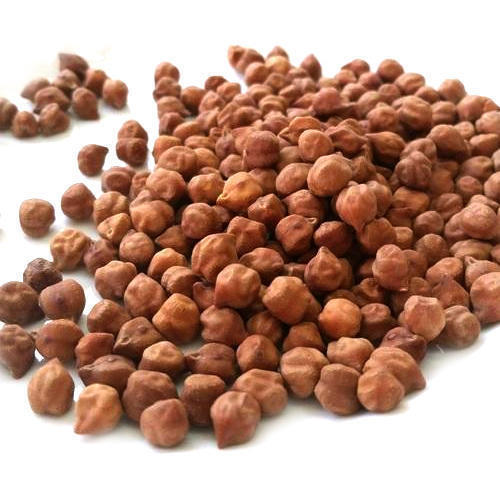 Mexim Chick Pea (Tyson)