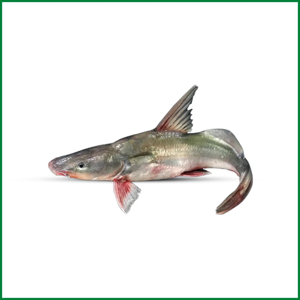 Mexim Ayer Fish (2–2.9 kg each)* $22.00/kg (Frozen)