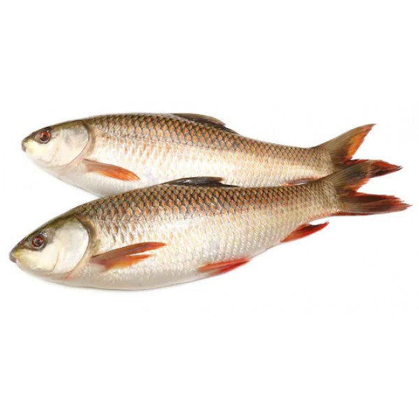 Mexim Rohu Fish (3–3.9 kg each)* $8.80/kg (Frozen)